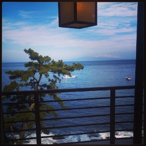 10534662_10204672513677942_1935823192066591247_n