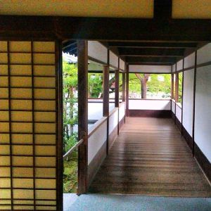 1795611_10204652126128266_8489039840216700064_n