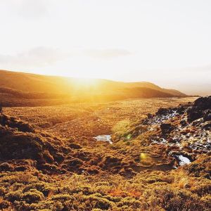 11910327_1656287614611836_65286458_n