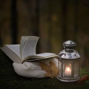 12071171_769208419872189_1969952617_n