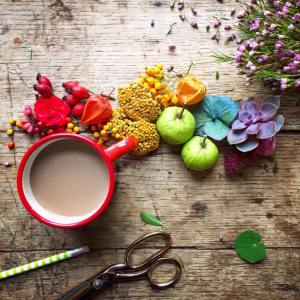 12193511_682979225138934_1062083473579126982_n