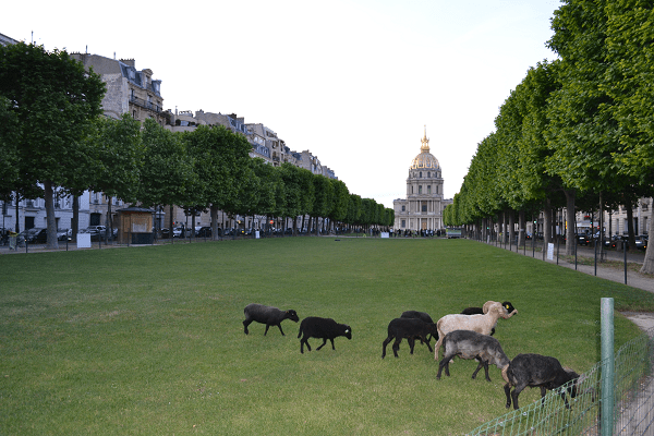 invalides