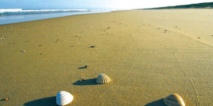 Sur-la-plage-abandonnee